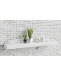 Sande Ivory 24" x 48" Matte Porcelain Tile