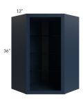 Midtown Blue Shaker 24x36 Corner Wall Cabinet (No Door) To Be Used With A Glass Door